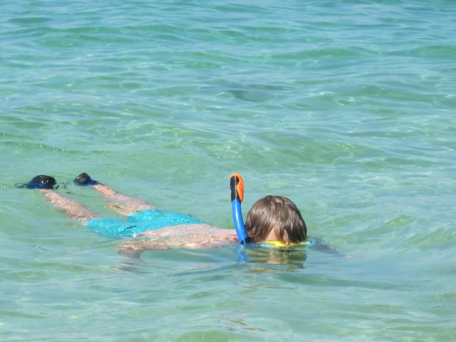 2018_01_16 Rottnest Island (98)