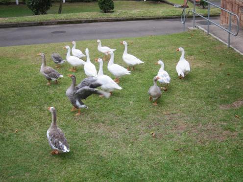 Durban Blog Photo (22)